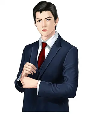 请和我老公结婚吧全集解说