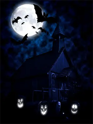 冬川十里风最新章节免费阅读