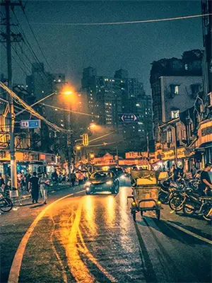 晚春夜雨问海棠